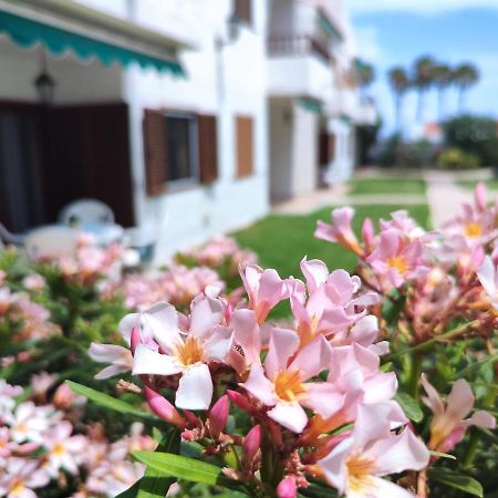 Los Balandros 116 ซาน อากุสติน ภายนอก รูปภาพ