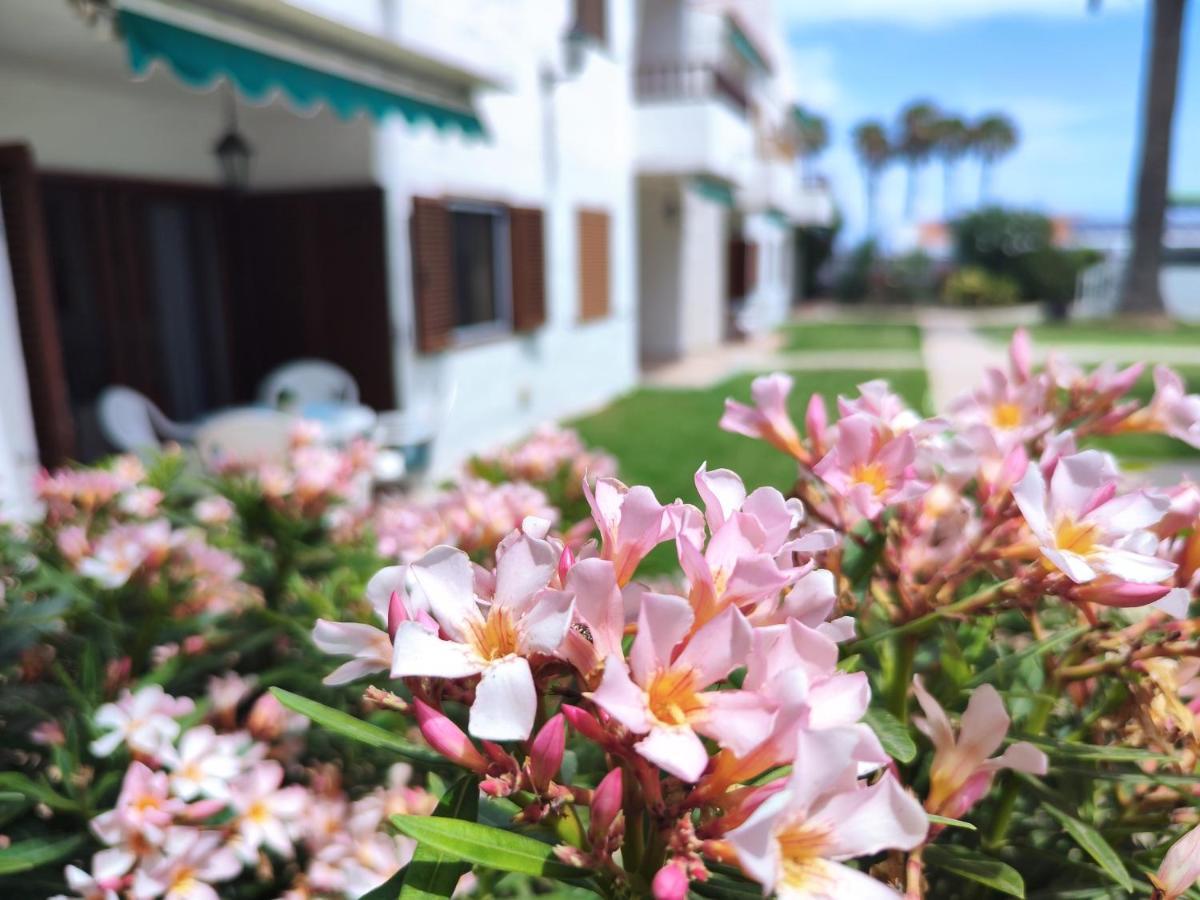 Los Balandros 116 ซาน อากุสติน ภายนอก รูปภาพ